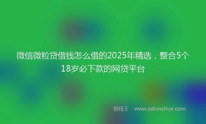 微信微粒贷借钱怎么借的2025年精选，整合5个18岁必下款的网贷平台