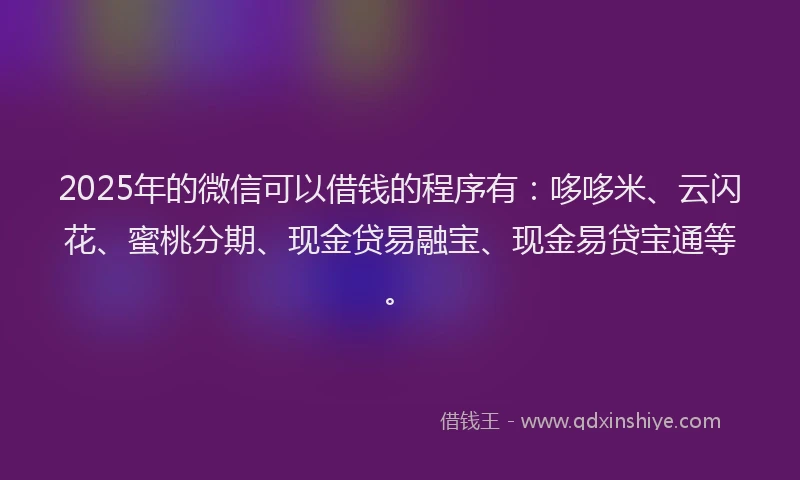2025年的微信可以借钱的程序有：哆哆米、云闪花、蜜桃分期、现金贷易融宝、现金易贷宝通等。