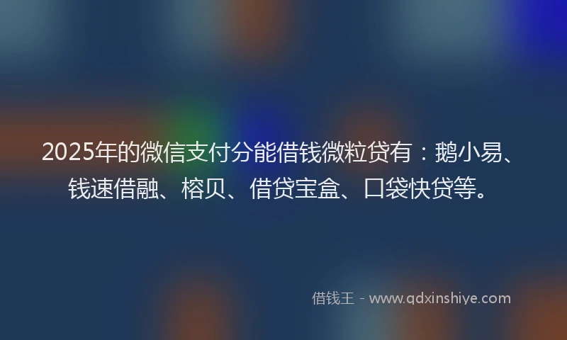 2025年的微信支付分能借钱微粒贷有：鹅小易、钱速借融、榕贝、借贷宝盒、口袋快贷等。