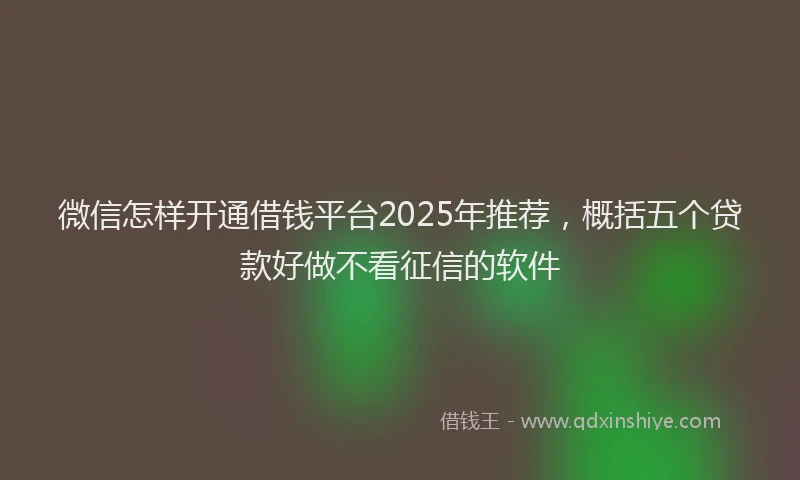 微信怎样开通借钱平台2025年推荐，概括五个贷款好做不看征信的软件