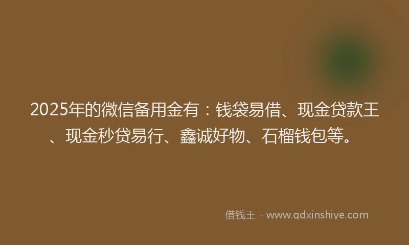 2025年的微信备用金有：钱袋易借、现金贷款王、现金秒贷易行、鑫诚好物、石榴钱包等。