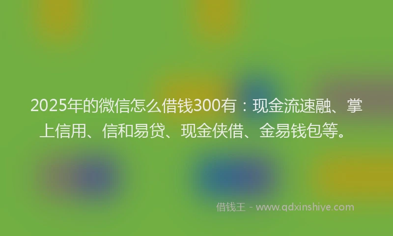 2025年的微信怎么借钱300有：现金流速融、掌上信用、信和易贷、现金侠借、金易钱包等。