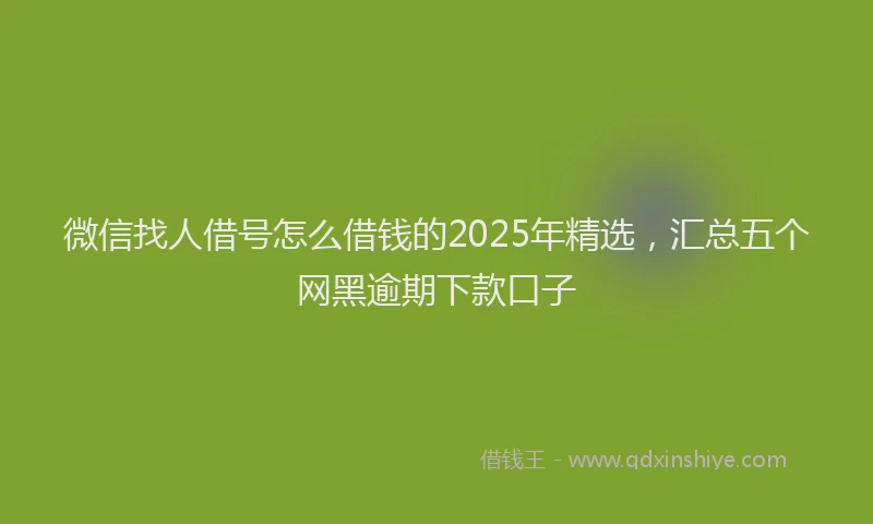 微信找人借号怎么借钱的2025年精选，汇总五个网黑逾期下款口子