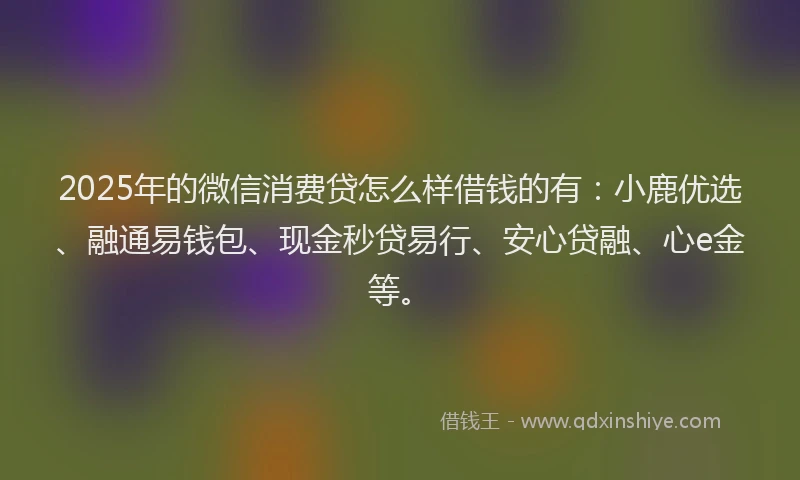 2025年的微信消费贷怎么样借钱的有：小鹿优选、融通易钱包、现金秒贷易行、安心贷融、心e金等。