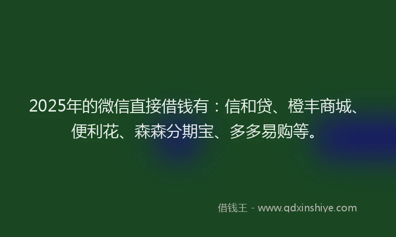 2025年的微信直接借钱有：信和贷、橙丰商城、便利花、森森分期宝、多多易购等。