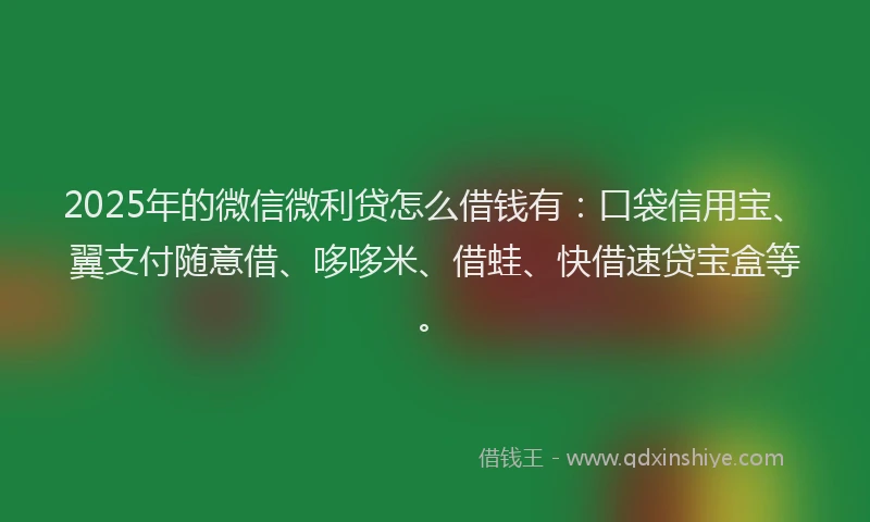 2025年的微信微利贷怎么借钱有：口袋信用宝、翼支付随意借、哆哆米、借蛙、快借速贷宝盒等。