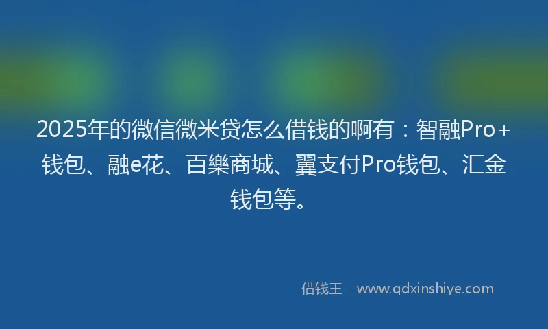 2025年的微信微米贷怎么借钱的啊有：智融Pro+钱包、融e花、百樂商城、翼支付Pro钱包、汇金钱包等。