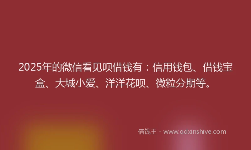 2025年的微信看见呗借钱有：信用钱包、借钱宝盒、大城小爱、洋洋花呗、微粒分期等。