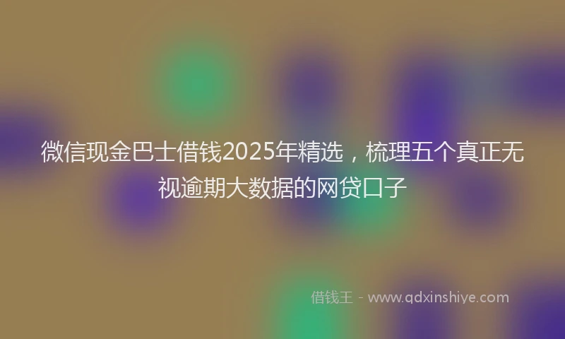 微信现金巴士借钱2025年精选，梳理五个真正无视逾期大数据的网贷口子