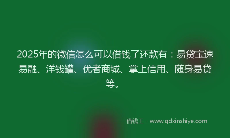 2025年的微信怎么可以借钱了还款有:易贷宝速易融、洋钱罐、优者商城、掌上信用、随身易贷等。
