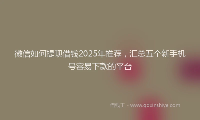 微信如何提现借钱2025年推荐，汇总五个新手机号容易下款的平台