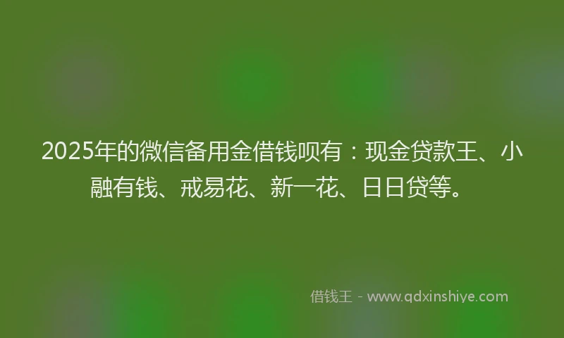 2025年的微信备用金借钱呗有：现金贷款王、小融有钱、戒易花、新一花、日日贷等。