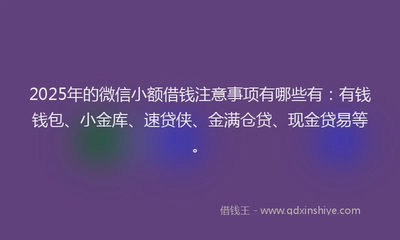 2025年的微信小额借钱注意事项有哪些有：有钱钱包、小金库、速贷侠、金满仓贷、现金贷易等。