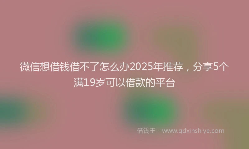 微信想借钱借不了怎么办2025年推荐，分享5个满19岁可以借款的平台