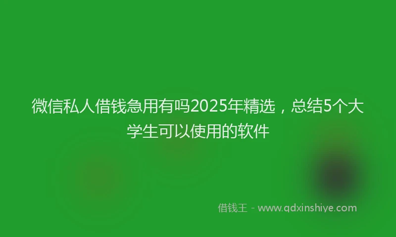 微信私人借钱急用有吗2025年精选，总结5个大学生可以使用的软件