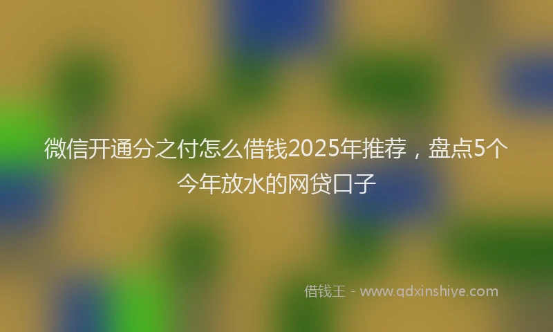 微信开通分之付怎么借钱2025年推荐，盘点5个今年放水的网贷口子