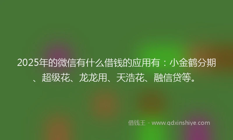 2025年的微信有什么借钱的应用有：小金鹤分期、超级花、龙龙用、天浩花、融信贷等。