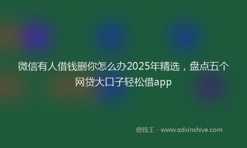 微信有人借钱删你怎么办2025年精选，盘点五个网贷大口子轻松借app
