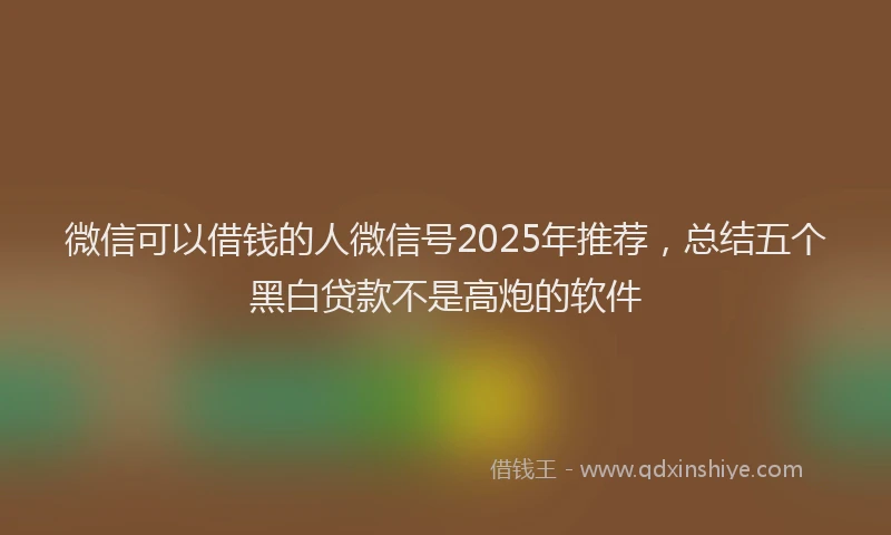 微信可以借钱的人微信号2025年推荐，总结五个黑白贷款不是高炮的软件