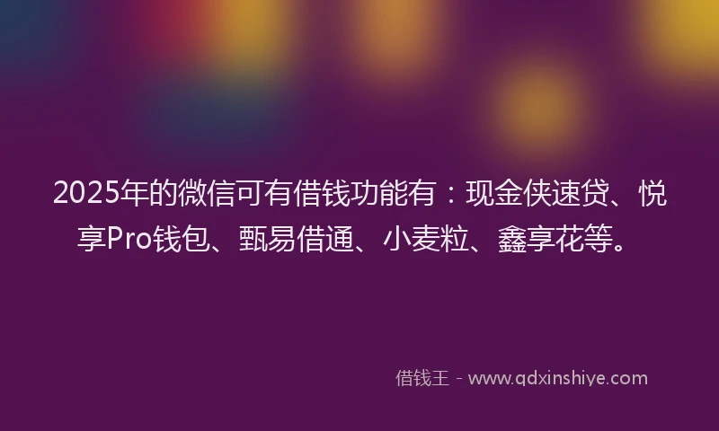 2025年的微信可有借钱功能有：现金侠速贷、悦享Pro钱包、甄易借通、小麦粒、鑫享花等。
