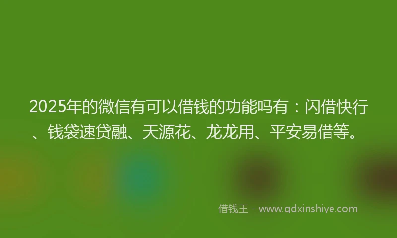 2025年的微信有可以借钱的功能吗有：闪借快行、钱袋速贷融、天源花、龙龙用、平安易借等。