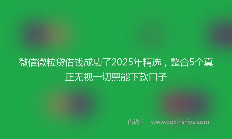 微信微粒贷借钱成功了2025年精选，整合5个真正无视一切黑能下款口子