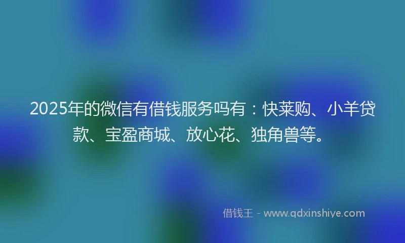2025年的微信有借钱服务吗有：快莱购、小羊贷款、宝盈商城、放心花、独角兽等。