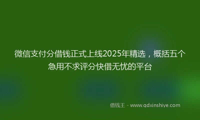 微信支付分借钱正式上线2025年精选，概括五个急用不求评分快借无忧的平台