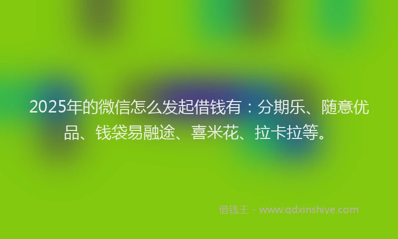 2025年的微信怎么发起借钱有：分期乐、随意优品、钱袋易融途、喜米花、拉卡拉等。
