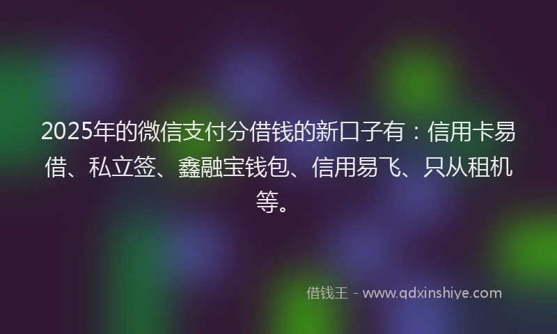 2025年的微信支付分借钱的新口子有：信用卡易借、私立签、鑫融宝钱包、信用易飞、只从租机等。