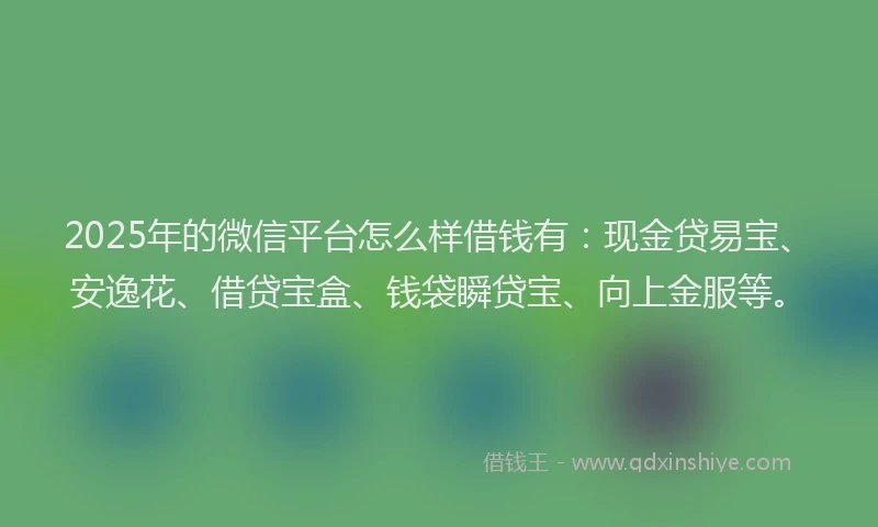 2025年的微信平台怎么样借钱有：现金贷易宝、安逸花、借贷宝盒、钱袋瞬贷宝、向上金服等。