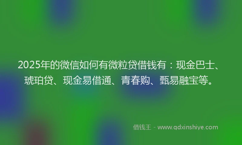 2025年的微信如何有微粒贷借钱有：现金巴士、琥珀贷、现金易借通、青春购、甄易融宝等。