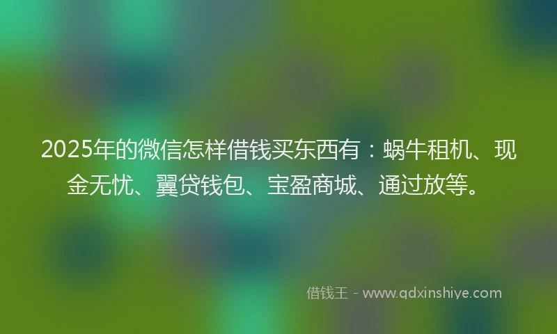 2025年的微信怎样借钱买东西有：蜗牛租机、现金无忧、翼贷钱包、宝盈商城、通过放等。