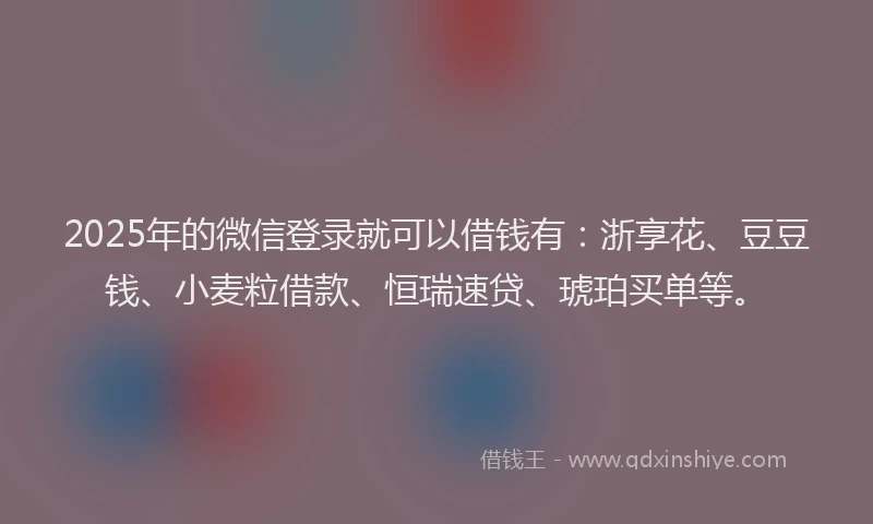 2025年的微信登录就可以借钱有：浙享花、豆豆钱、小麦粒借款、恒瑞速贷、琥珀买单等。