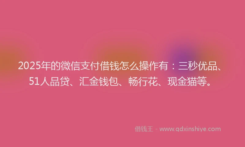 2025年的微信支付借钱怎么操作有：三秒优品、51人品贷、汇金钱包、畅行花、现金猫等。