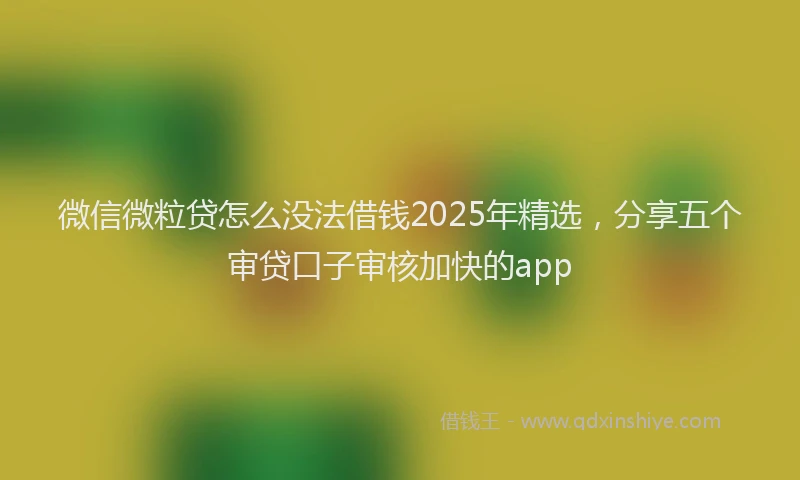 微信微粒贷怎么没法借钱2025年精选，分享五个审贷口子审核加快的app