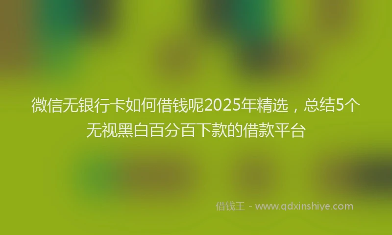 微信无银行卡如何借钱呢2025年精选，总结5个无视黑白百分百下款的借款平台