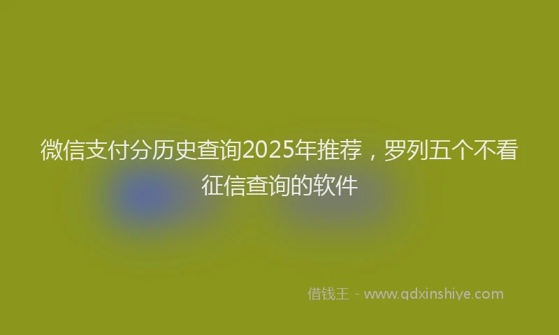 微信支付分历史查询2025年推荐，罗列五个不看征信查询的软件
