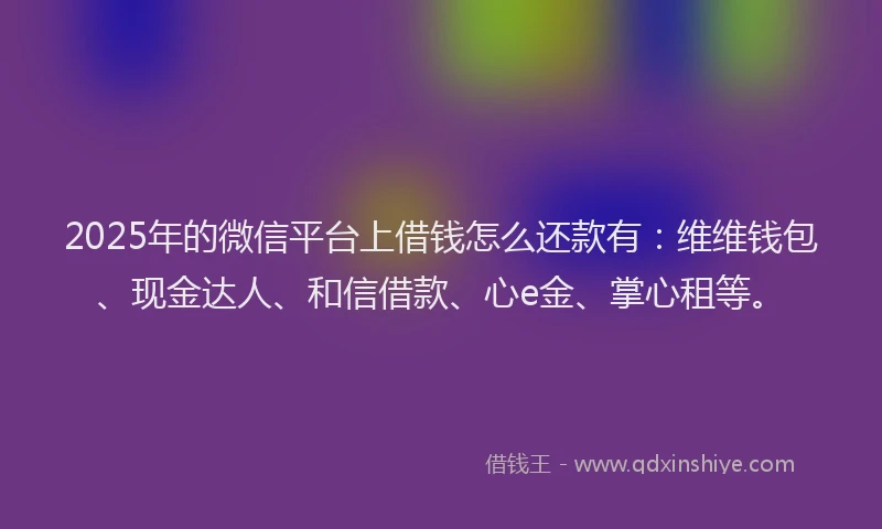 2025年的微信平台上借钱怎么还款有：维维钱包、现金达人、和信借款、心e金、掌心租等。