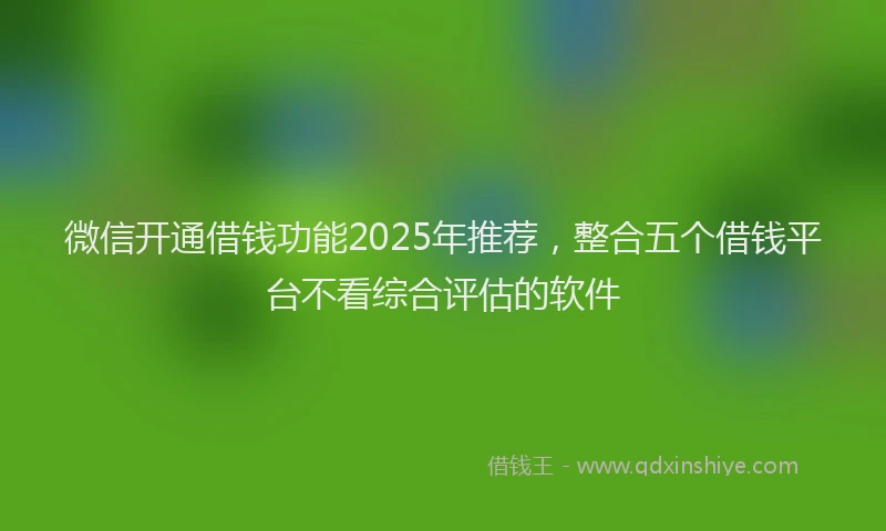 微信开通借钱功能2025年推荐，整合五个借钱平台不看综合评估的软件