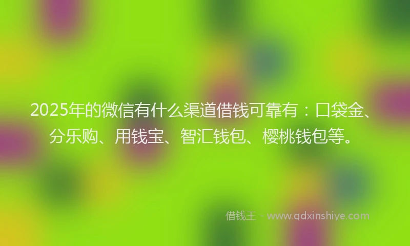 2025年的微信有什么渠道借钱可靠有：口袋金、分乐购、用钱宝、智汇钱包、樱桃钱包等。