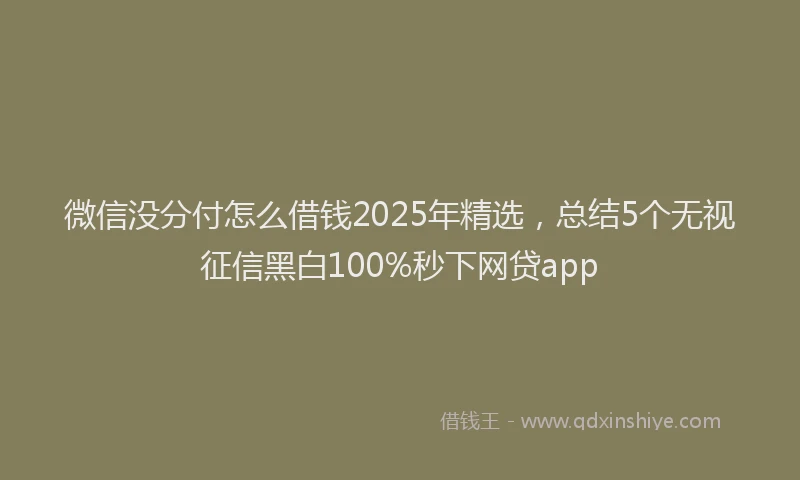 微信没分付怎么借钱2025年精选，总结5个无视征信黑白100%秒下网贷app