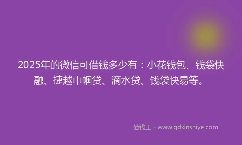 2025年的微信可借钱多少有：小花钱包、钱袋快融、捷越巾帼贷、滴水贷、钱袋快易等。