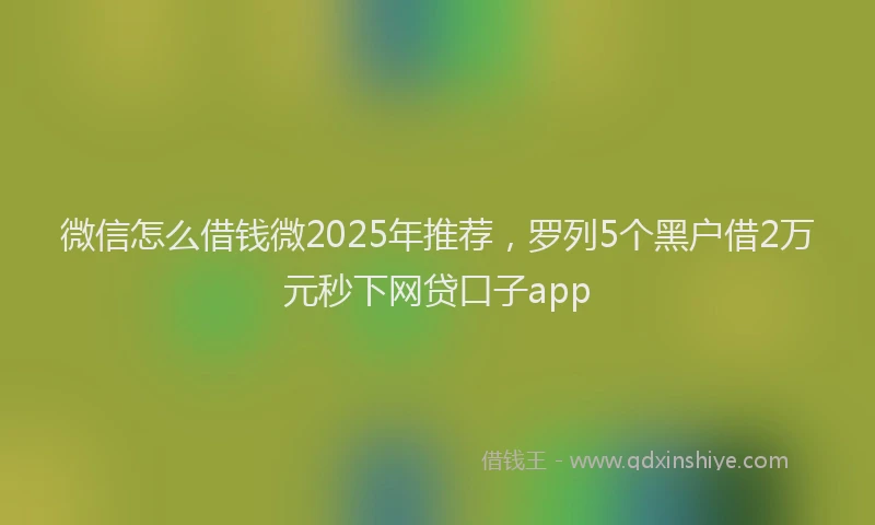 微信怎么借钱微2025年推荐，罗列5个黑户借2万元秒下网贷口子app