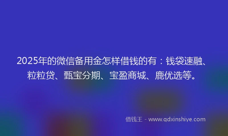 2025年的微信备用金怎样借钱的有：钱袋速融、粒粒贷、甄宝分期、宝盈商城、鹿优选等。
