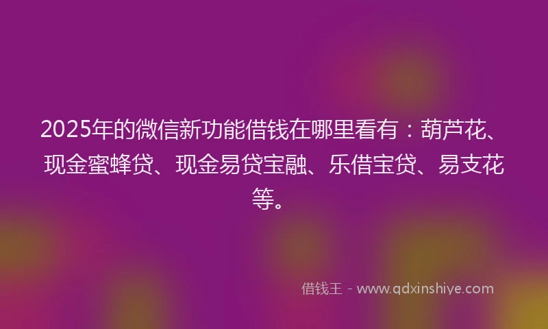 2025年的微信新功能借钱在哪里看有：葫芦花、现金蜜蜂贷、现金易贷宝融、乐借宝贷、易支花等。