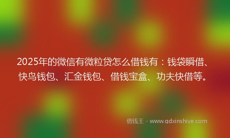 2025年的微信有微粒贷怎么借钱有：钱袋瞬借、快鸟钱包、汇金钱包、借钱宝盒、功夫快借等。