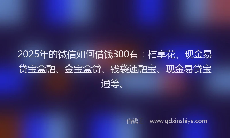 2025年的微信如何借钱300有：桔享花、现金易贷宝盒融、金宝盒贷、钱袋速融宝、现金易贷宝通等。