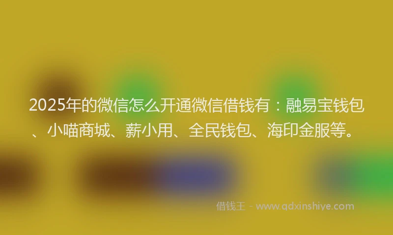 2025年的微信怎么开通微信借钱有：融易宝钱包、小喵商城、薪小用、全民钱包、海印金服等。