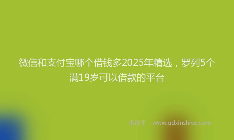微信和支付宝哪个借钱多2025年精选，罗列5个满19岁可以借款的平台